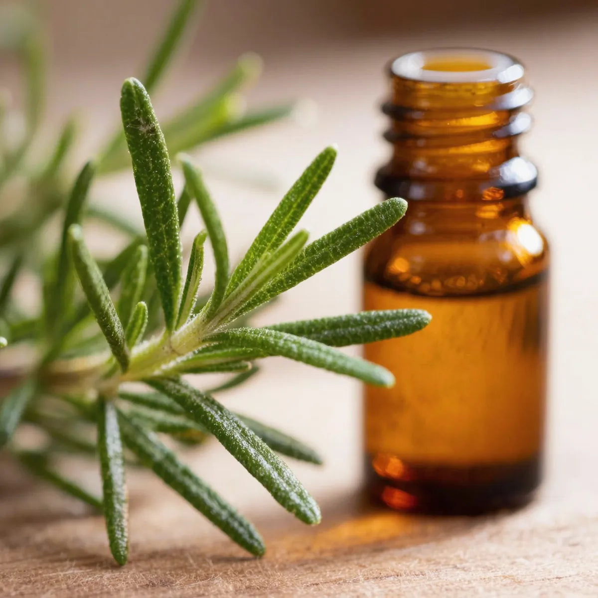pure rosemary essential oil