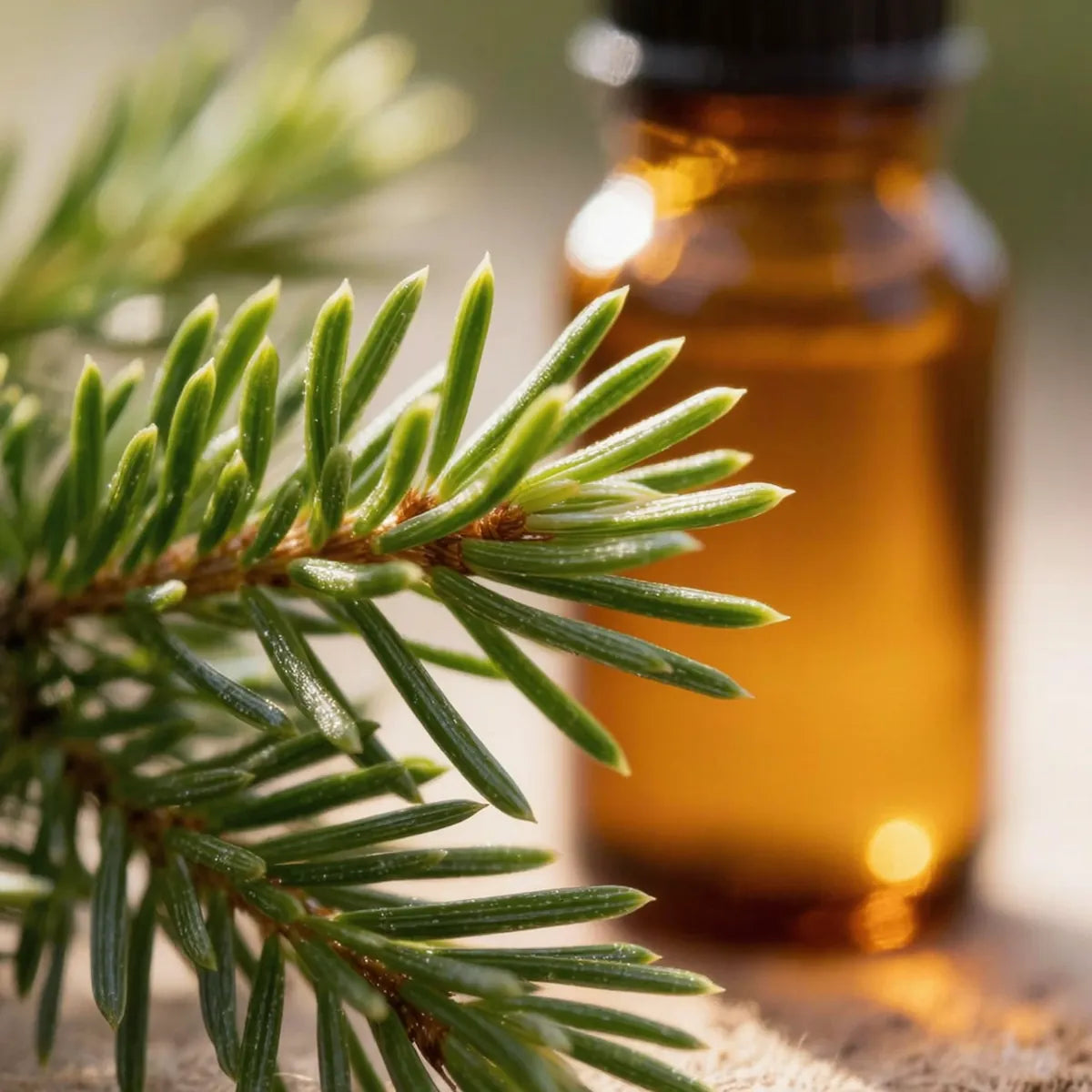 pure siberian fir essential oil