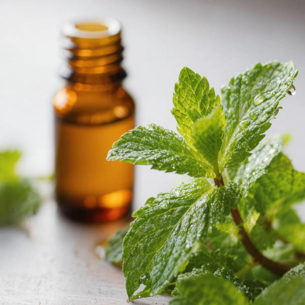 pure spearmint essential oil