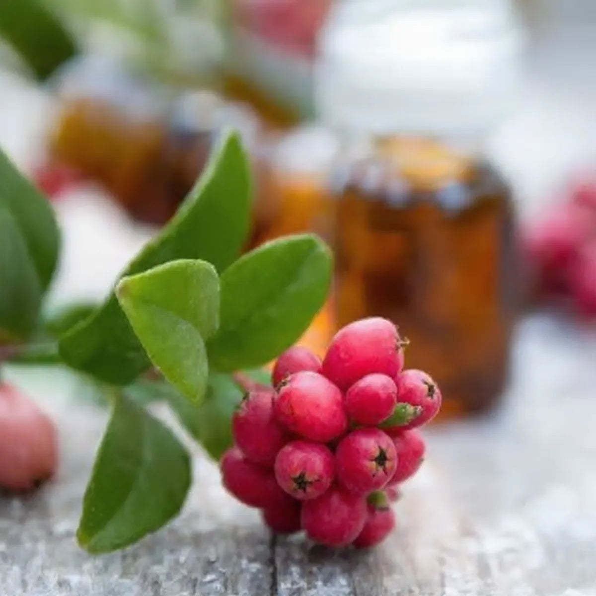 pure wintergreen essential oil