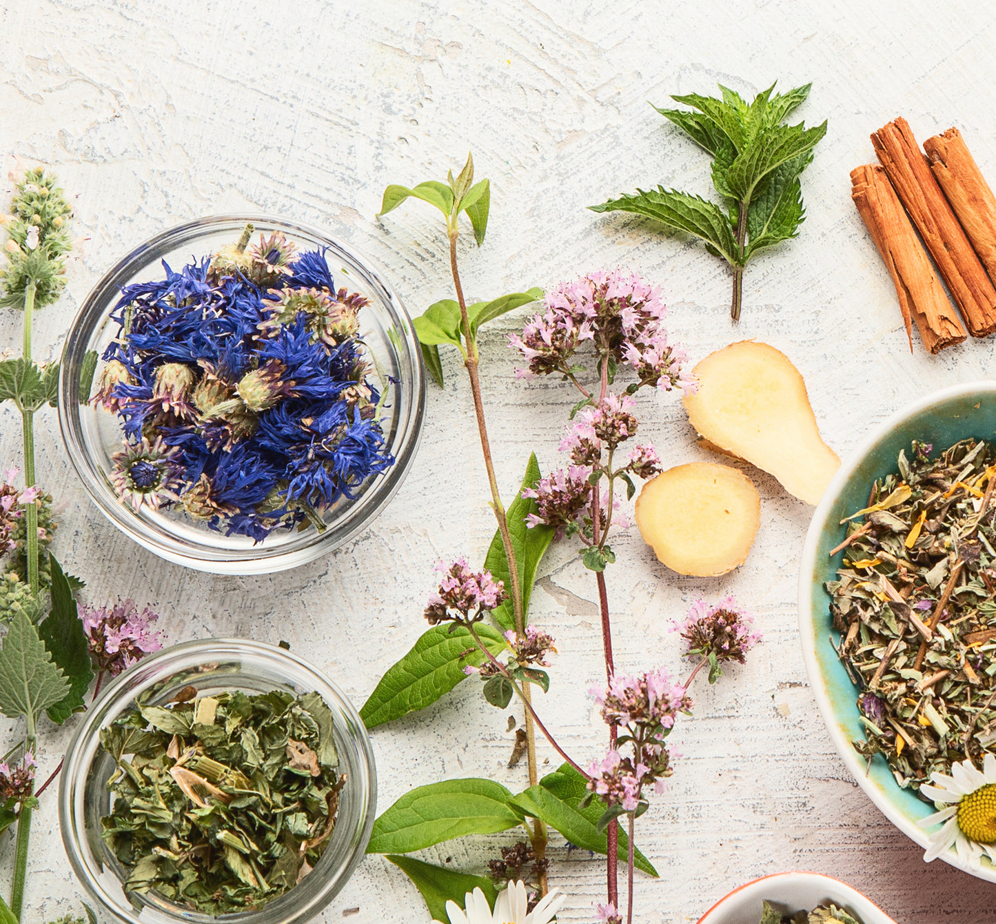 Organic Dandelion Root Dried